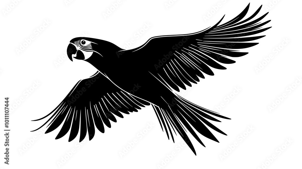 Obraz premium Parrot in flight with wings extended showing undersides, vector illustration art
