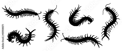 black and white silhouettes of dragons,
Silhouette of a centipede set 
Halloween day