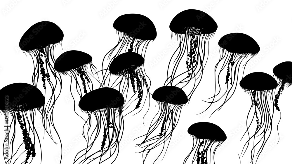 Group of box jellies in a marine aquarium exhibit, vector illustration art Group of box jellies in a marine aquarium exhibit, vector illustration art