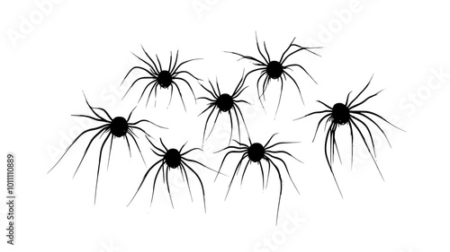 Group of harvestmen clustered together for protection, vector illustration art