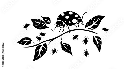 Lady beetle feeding on aphids on a plant leaf, vector illustration art