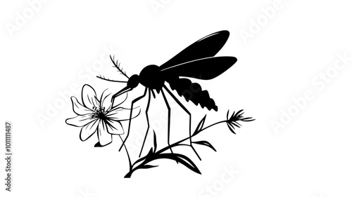 Male mosquito feeding on flower nectar with proboscis, vector illustration art