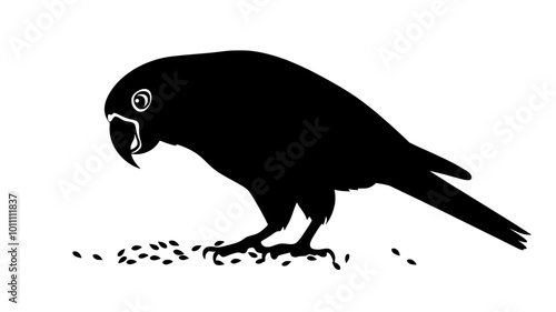 A parrot stands on the ground, pecking at small seeds scattered around it, vector illustration art