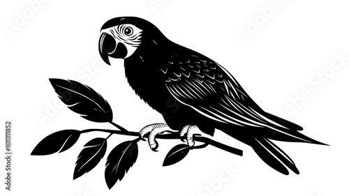 A parrot grips a perch with its claws, using its beak to adjust its balance, vector illustration art