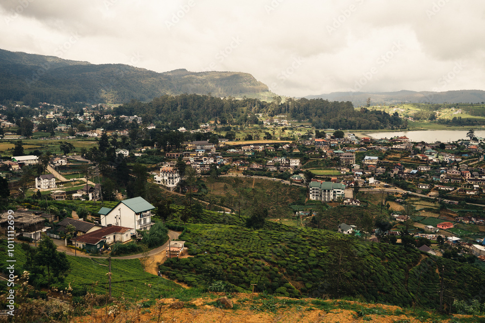 Fototapeta premium A panoramic view of lush hills and quaint cottages in the misty tea gardens 