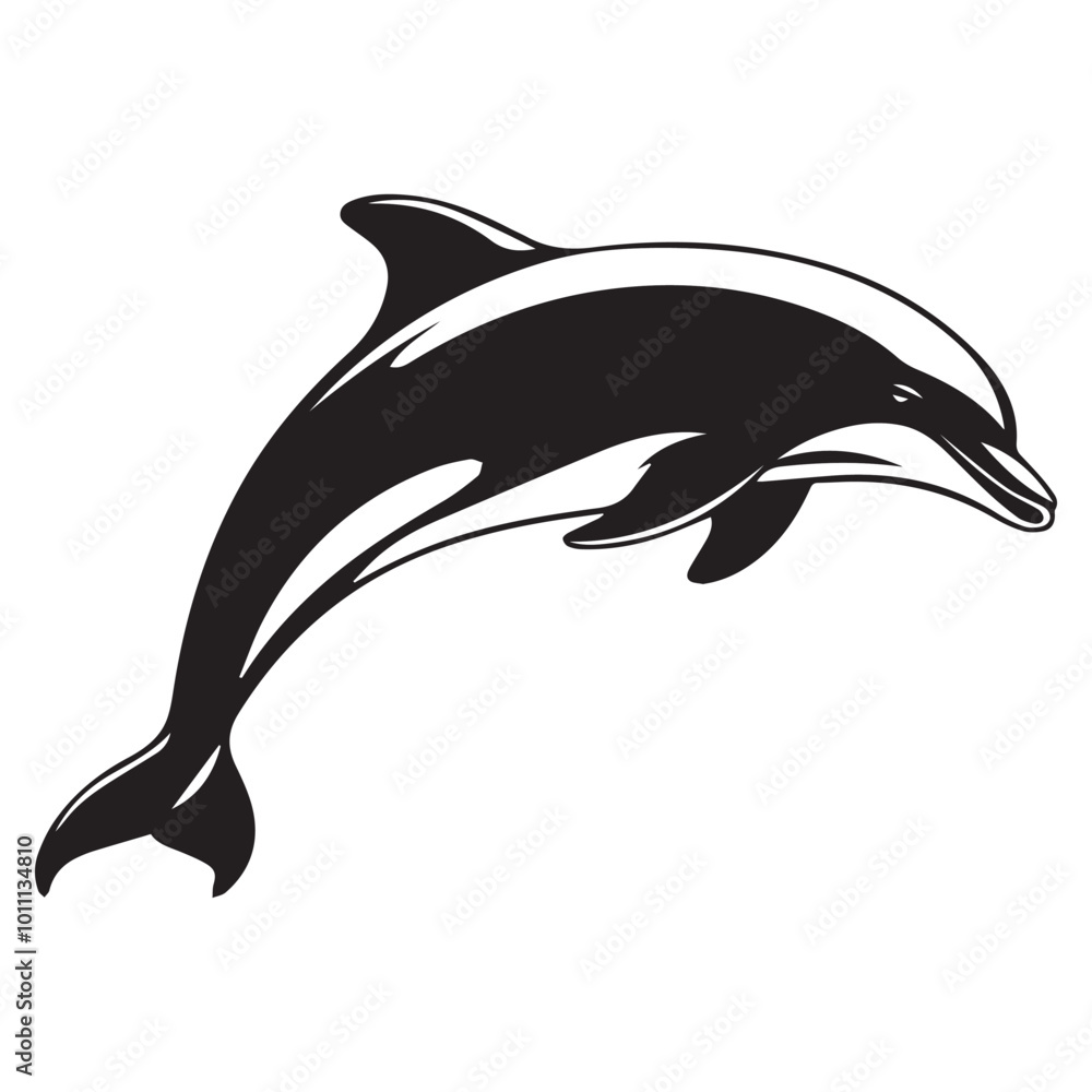 Naklejka premium dolphin isolated on white background