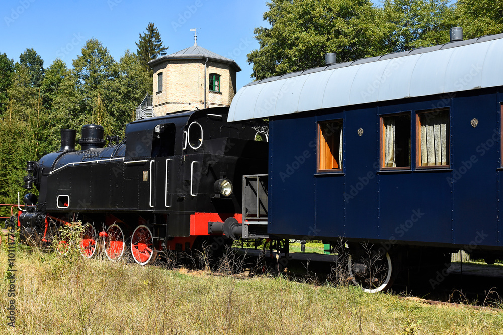 Naklejka premium Old locomotive in a state of rest, Białowieża, Poland