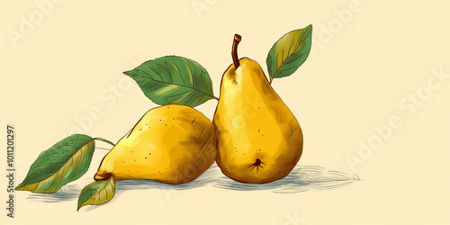 Illustration of two yellow pears on the white background.