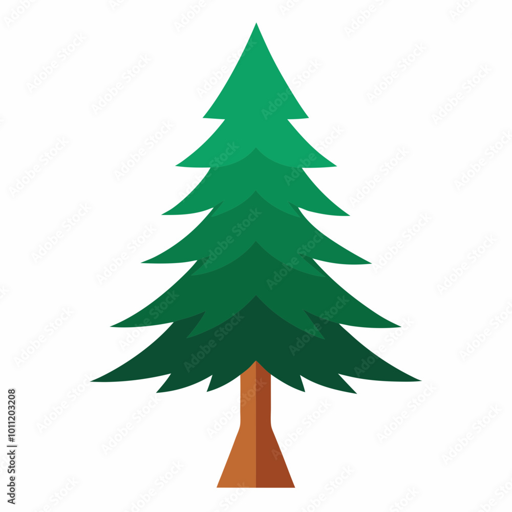 Fototapeta premium vector illustration of spruce