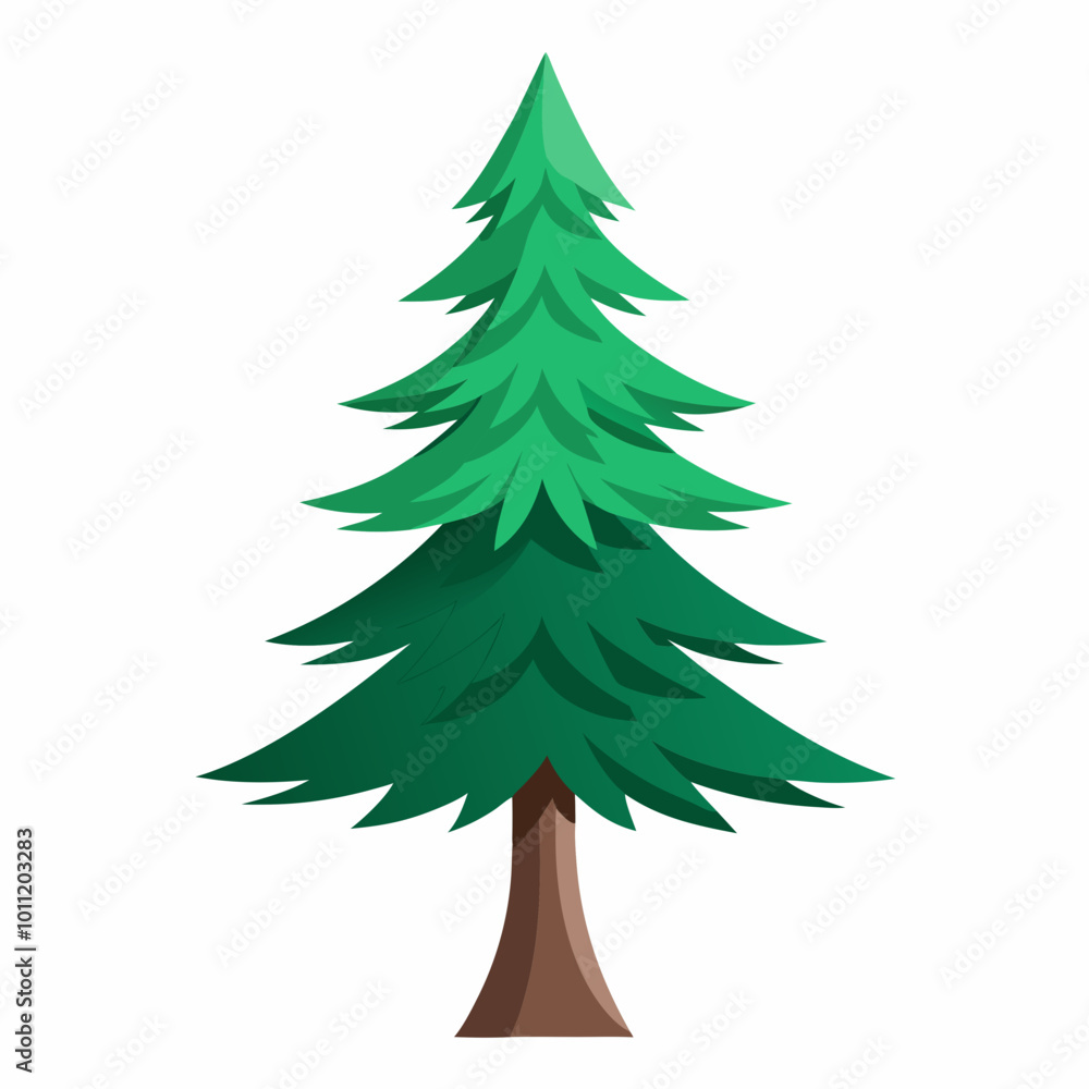 vector illustration of spruce vector illustration of spruce