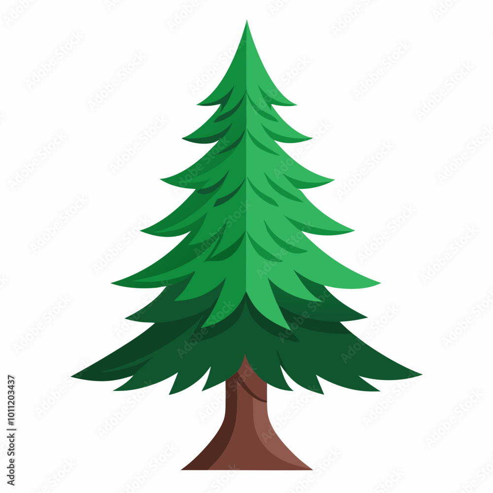Obraz premium vector illustration of spruce