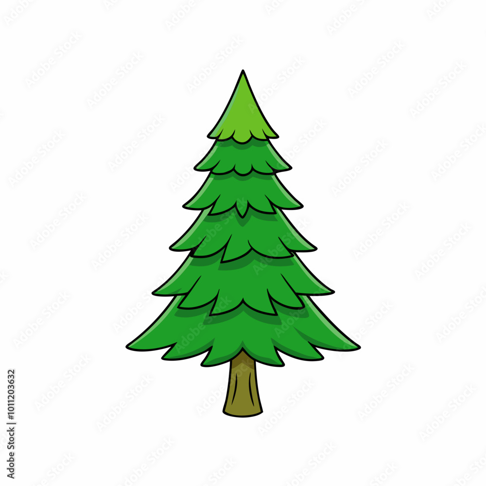 vector illustration of spruce vector illustration of spruce