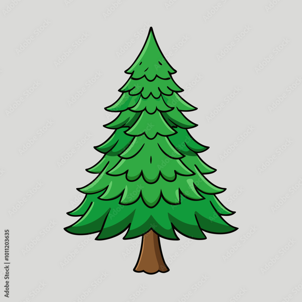vector illustration of spruce vector illustration of spruce