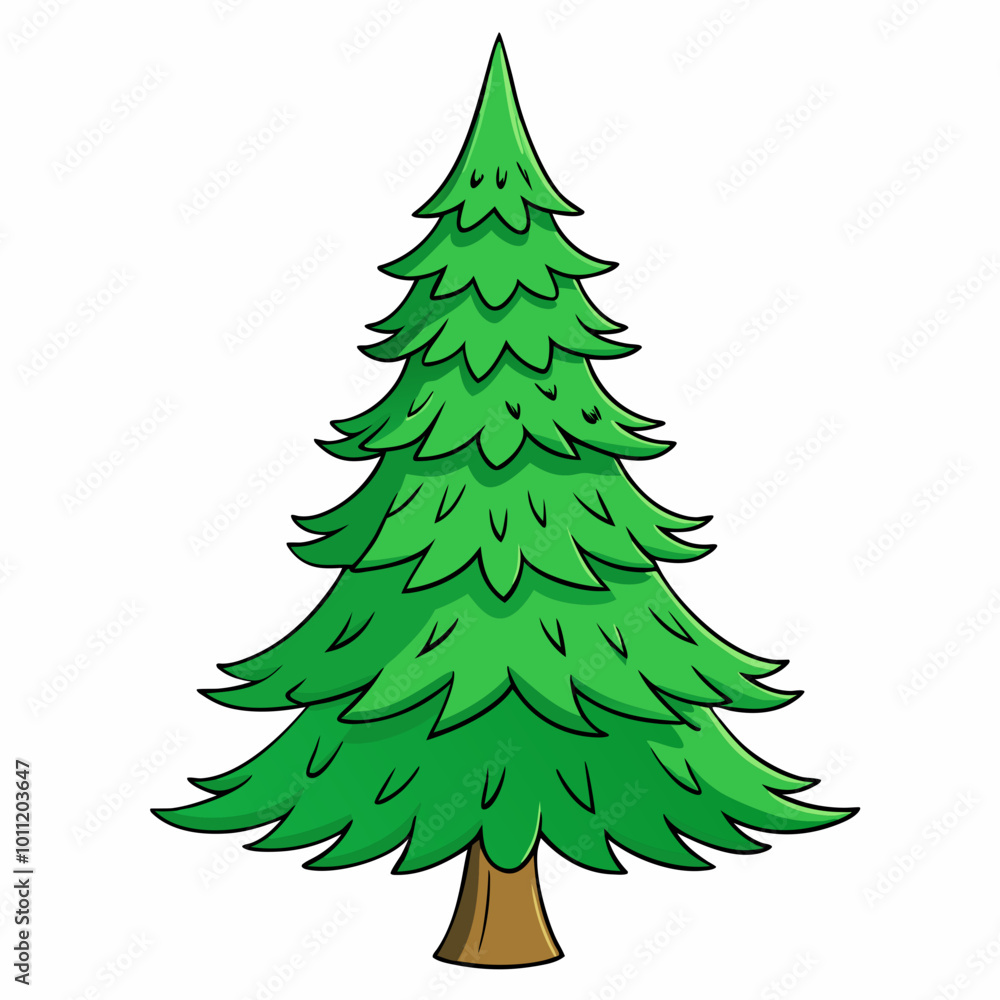 vector illustration of spruce vector illustration of spruce