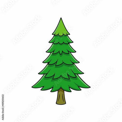 vector illustration of spruce