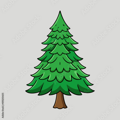 vector illustration of spruce