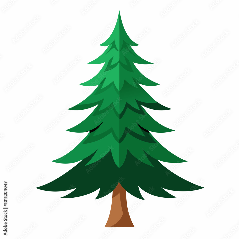 vector illustration of spruce vector illustration of spruce