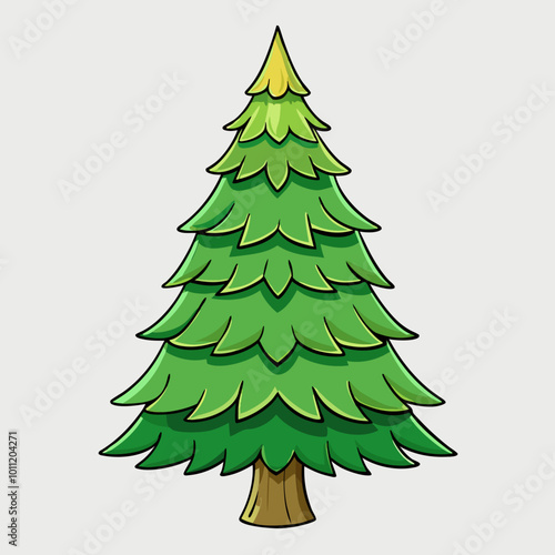 vector illustration of spruce