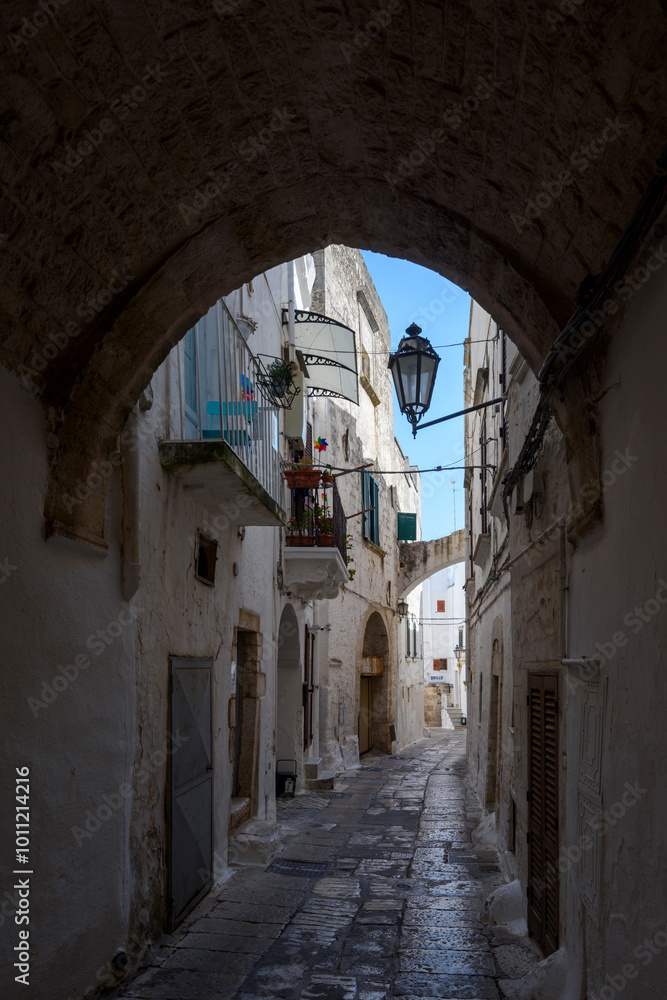 Fototapeta premium The White City, La Citta Bianca, Ostuni, Puglia, Apulia, Italy