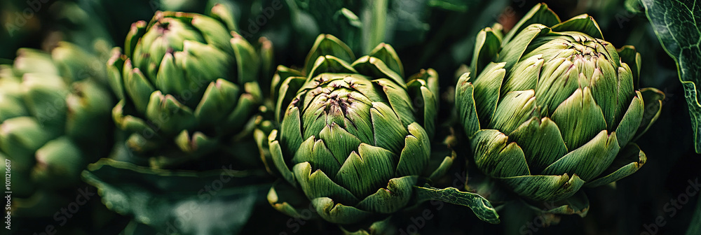 Fototapeta premium close up of artichokes, full frame, food advertising