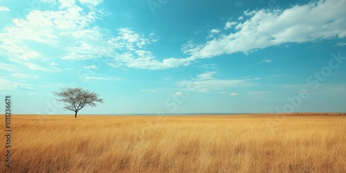 A serene landscape featuring a solitary tree amidst golden grass under a vibrant blue sky with fluffy clouds.