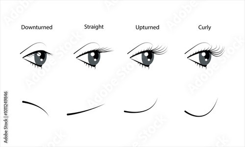 Types of natural eyelashes. Flat vector illustration