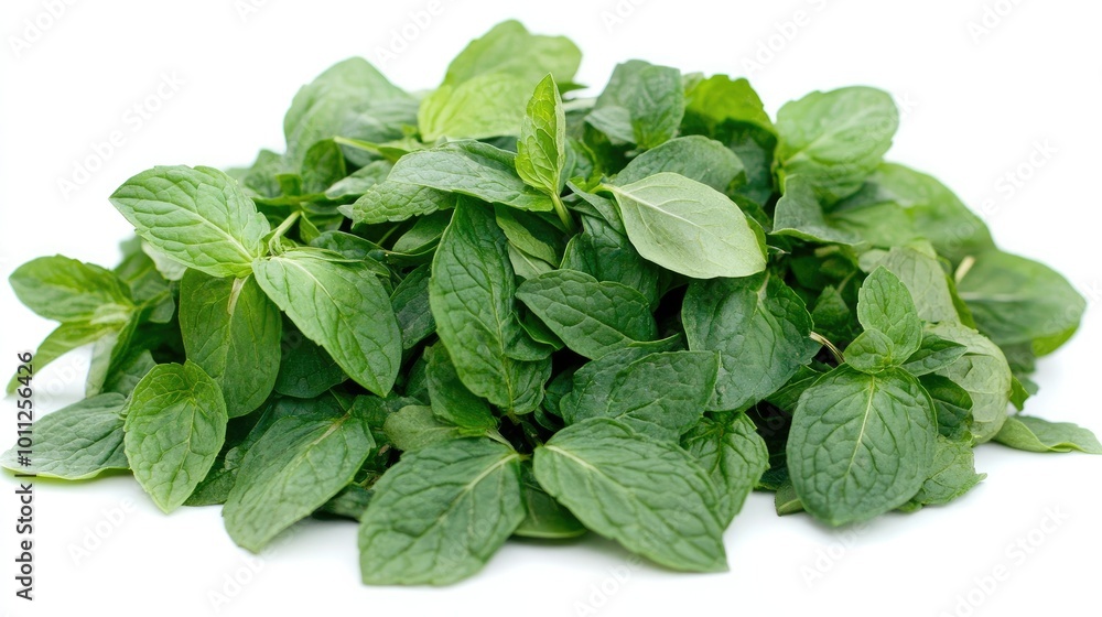 A pile of mint leaves, isolated on a pristine white background, capturing their rich green hues and delicate texture for botanical or culinary purposes. A pile of mint leaves, isolated on a pristine white background, capturing their rich green hues and delicate texture for botanical or culinary purposes.