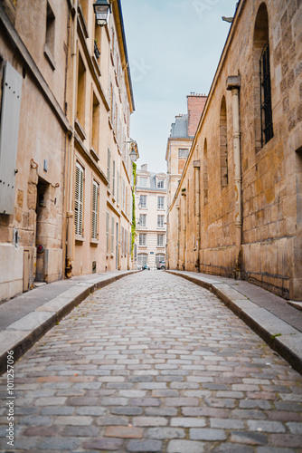 Quadro em tela Small and Narrow Alley Cobblestone Street with a Short Sidewalk Guided by Weathe