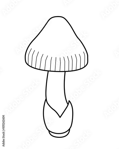 Forest mushroom small with unopened cap - vector linear picture for coloring. Outline. Autumn forest mushroom