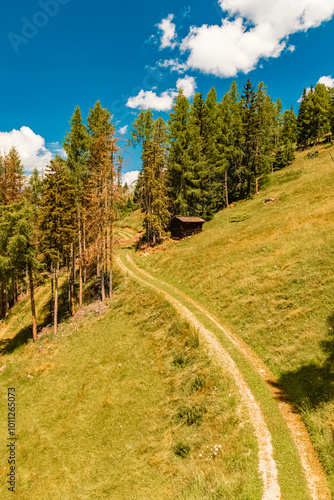 Alpine summer view at Mount Goldried, Matrei, Eastern Tyrol, Austria photo