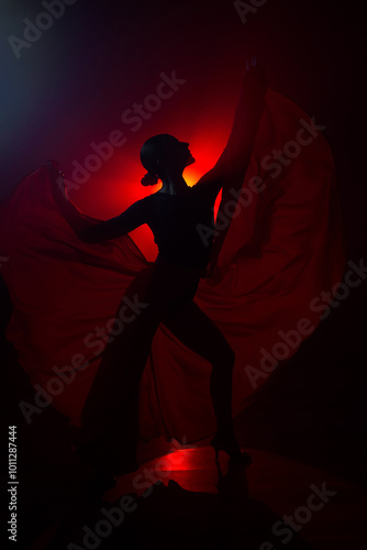 Silhouette of a woman in a red skirt dancing Latin in smoke in neon light. Dance concept. Bachata, Latina