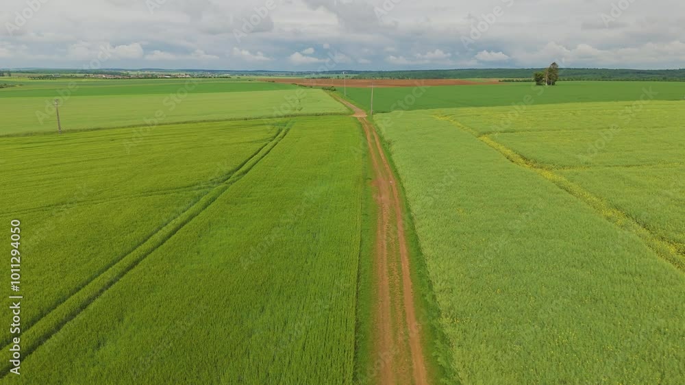 A large green field. Aerial drone view A large green field. Aerial drone view