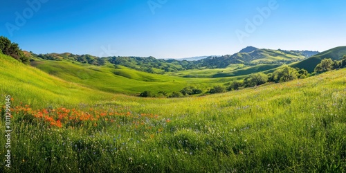 Green Valley with Rolling Hills and Wildflowers Under a Clear Blue Sky