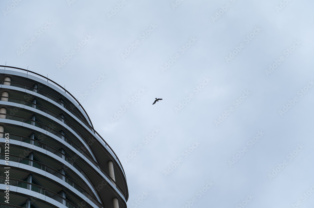 Modern building with bird soaring in cloudy sky background Modern building with bird soaring in cloudy sky background