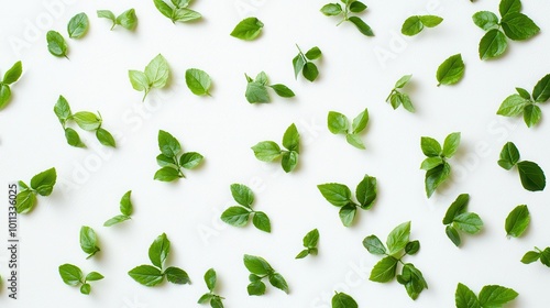 An abstract arrangement of small green leaves scattered randomly on a white surface, creating an organic and fresh vibe.