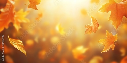 Background with colorful leaves and sunflares of autumn. photo