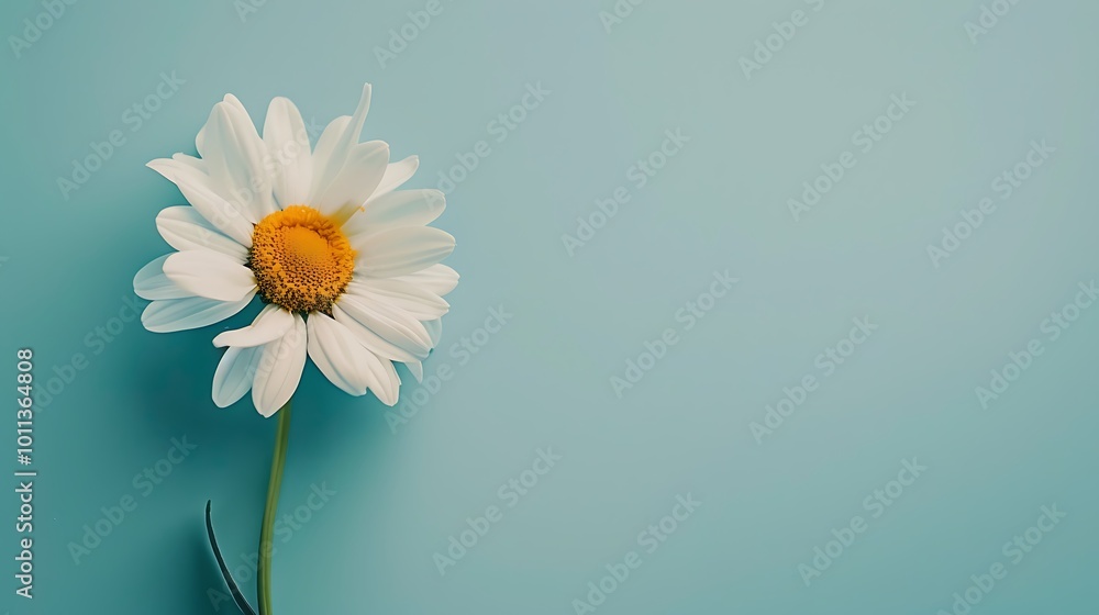 A beautiful daisy placed in the bottom corner of a light, solid-colored background, offering plenty of room for copy or additional design. 8k UHD, suitable for high-quality printing or digital A beautiful daisy placed in the bottom corner of a light, solid-colored background, offering plenty of room for copy or additional design. 8k UHD, suitable for high-quality printing or digital