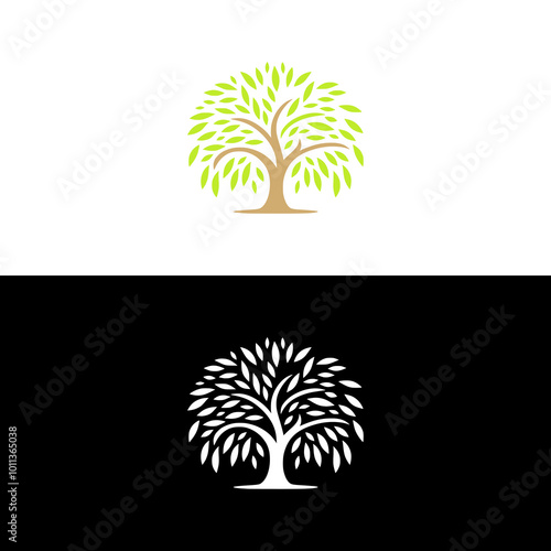 willow tree nature modern logo vector illustration template design