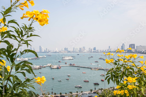 landscape with flowers and trees