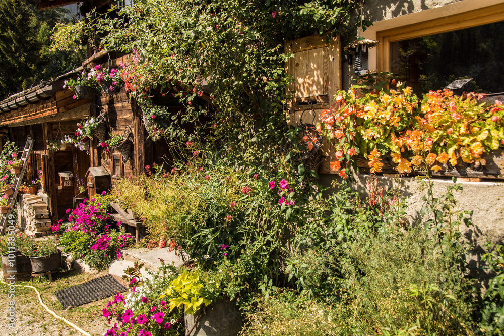 Fototapeta premium French Alps landscape in summer