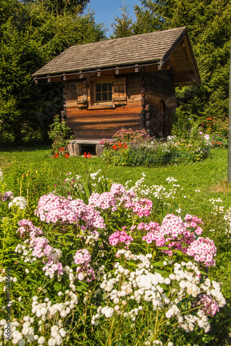 French Alps landscape in summer