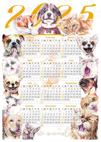 Dog and cat. Сute wall calendar with of funny animals drawing in watercolor