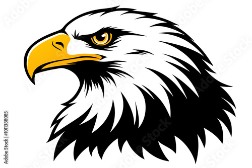 a-bald-eagle head vector art illustration photo