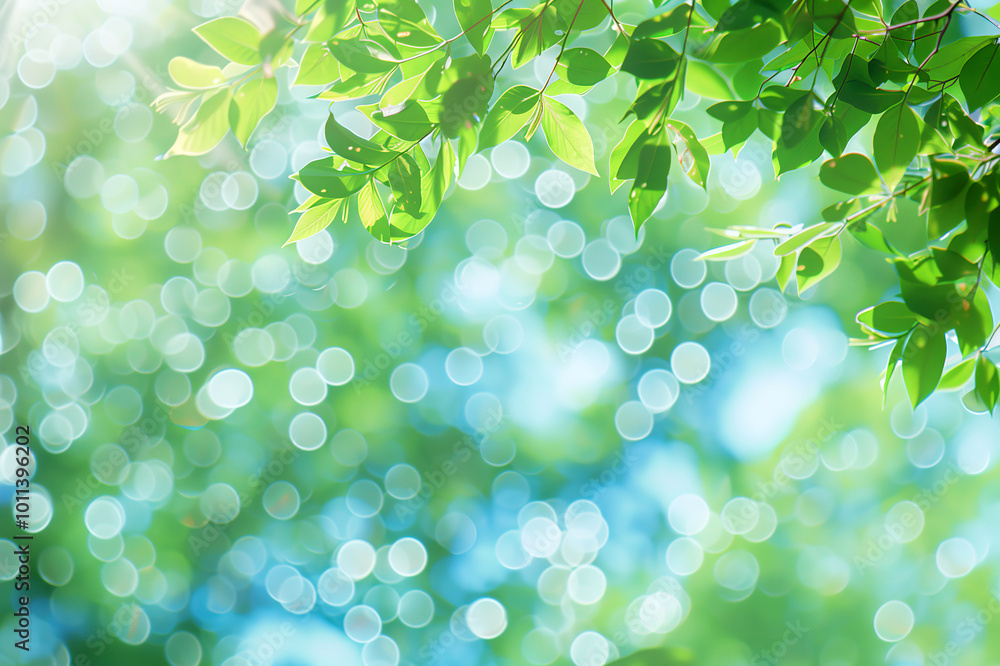  blurred background with twigs and leaves, eco concept