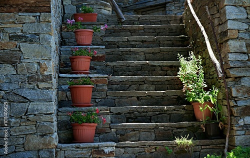 Flower pots on the steps of the stairs