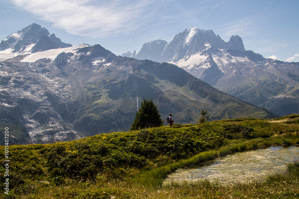 Obraz premium French Alps landscape in summer