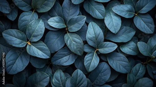 a captivating photo showcasing background of lush leaves embodying aesthetic minimalism the wallpaper features palette of dark sage colors offering serene ,sophisticated vibe