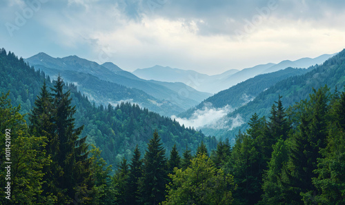 Fog is slowly rising from a green valley between mountains