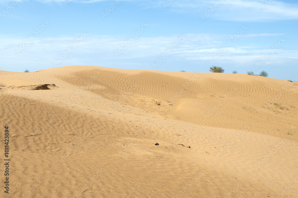 In the desert of Kalmykia on a sunny June day. Russian Federation In the desert of Kalmykia on a sunny June day. Russian Federation
