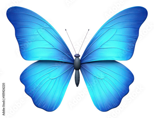 PNG Butterfly animal insect blue.